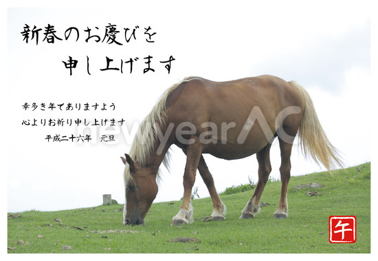 草原の馬写真