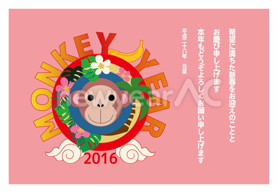 MONKEY YEAR 2016