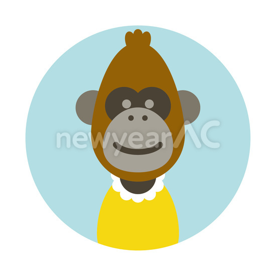 茶色猿　メス
