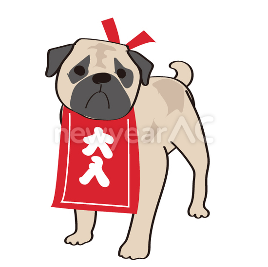 犬48