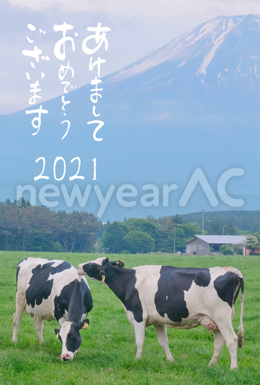 丑年年賀状