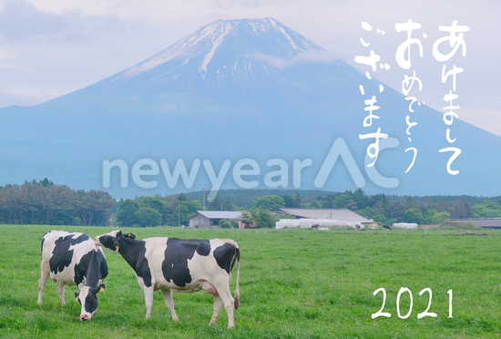 丑年年賀状