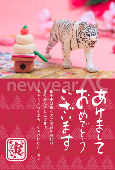 鏡餅とホワイトタイガー年賀状