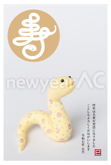 寿の文字と蛇の写真デザイン年賀状