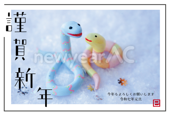シンプル枠線と蛇の写真デザイン年賀状