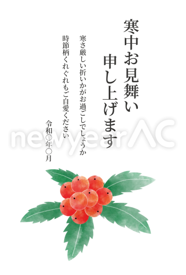 寒中見舞い　千両