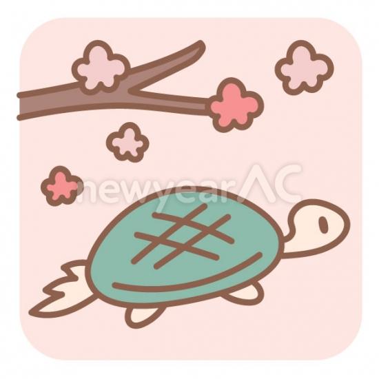 亀と梅の花