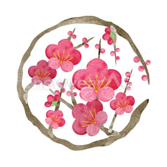 梅の花　ワンポイント