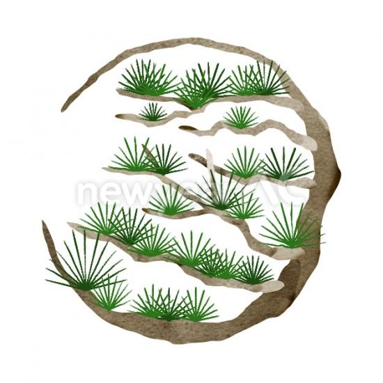 松　ワンポイント