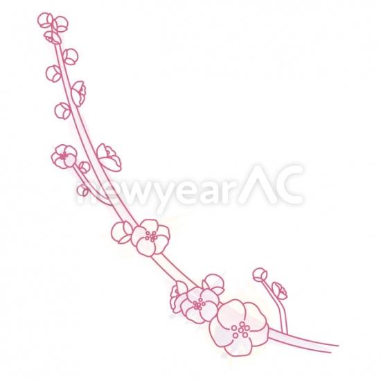 梅の花