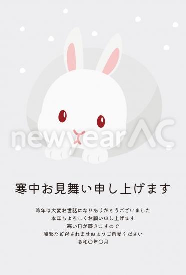 寒中見舞い 白ウサギ