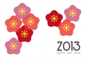 2013　梅の花1