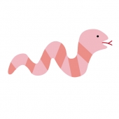 しましま蛇　ピンク