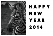 白馬写真とHAPPY　NEW　YEAR
