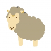 ラフ羊