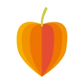 ほおずき