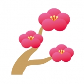 梅の花5