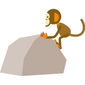 岩を登る猿