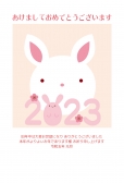 白うさぎアップの年賀状