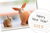 シュライヒ　写真風の2匹のうさぎ　円でHAPPY NEW YEAR