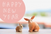シュライヒ　2匹のうさぎ　ピンクの円にHAPPY NEW YEAR