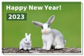 シュライヒ　親子のうさぎ　HAPPY NEW YEAR