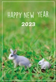 シュライヒ　自然の中にいるうさぎの親子2023