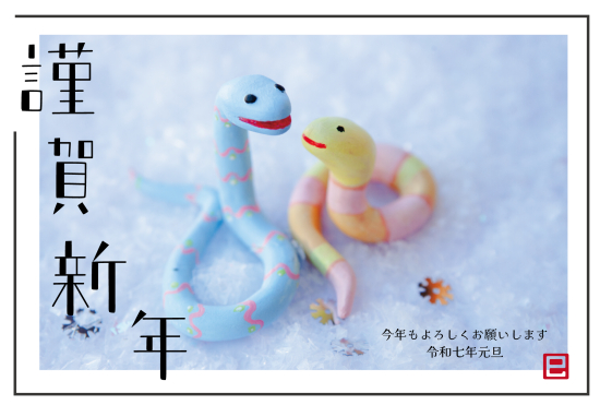 シンプル枠線と蛇の写真デザイン年賀状