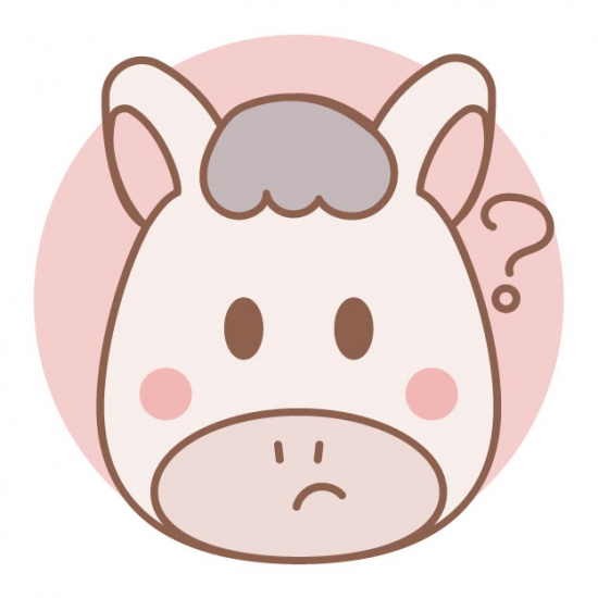 疑問の表情の白い馬