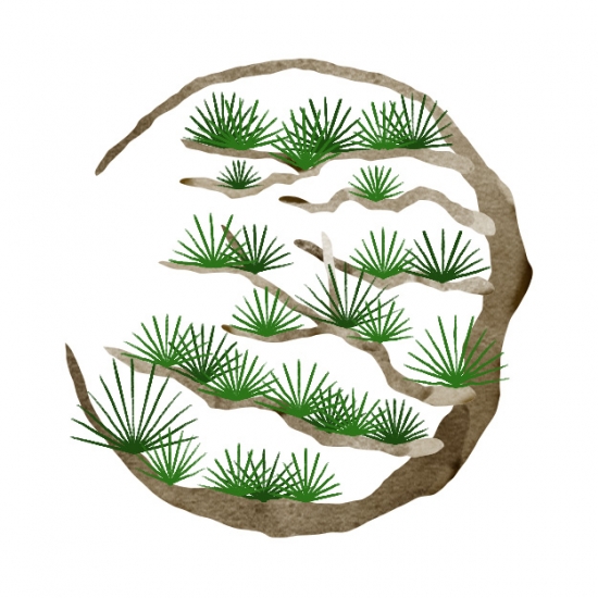 松　ワンポイント