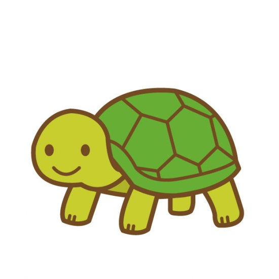 亀