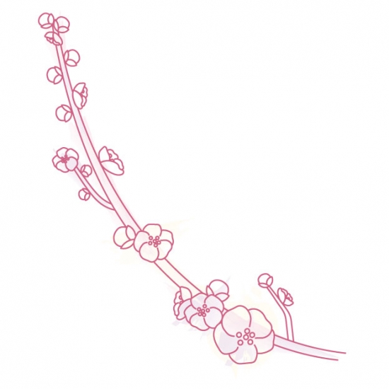 梅の花