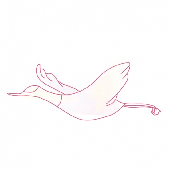 鶴