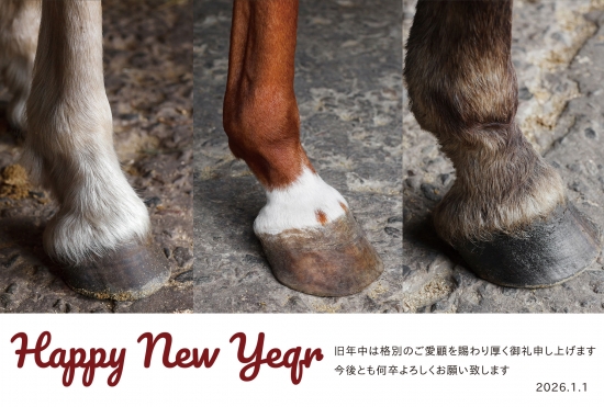 リアル馬の足元年賀状