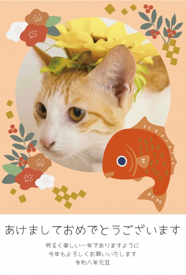 花と鯛をまとった猫の年賀状